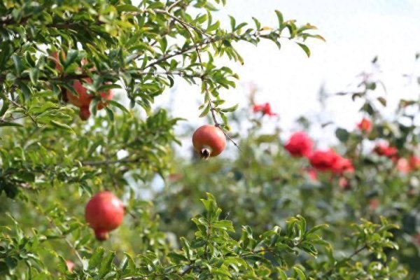 牛8配资 仲观平：思想之光照亮奋进之路——写在山东回顾“十四五”、展望“十五五”之际