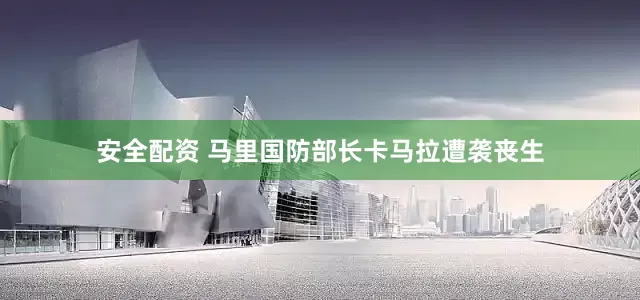 安全配资 马里国防部长卡马拉遭袭丧生